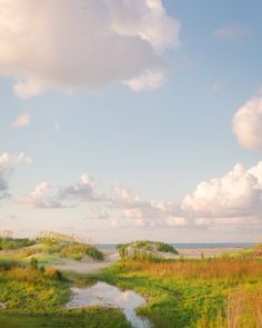 a grassy field with water and clouds in the background