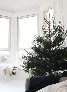 a small christmas tree in the corner of a room with two windows and a couch