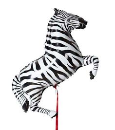 a black and white zebra standing on its hind legs