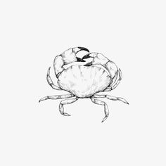 a black and white drawing of a crab