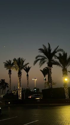 palm trees are lit up at night in front of a parking lot with cars parked on the street