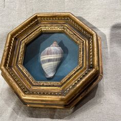 a shell in a gold frame on a white cloth