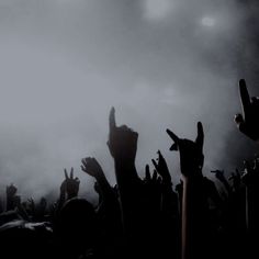 a group of people with their hands up in the air at a music festival or concert