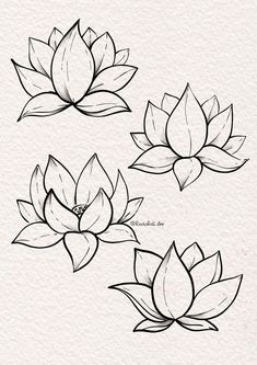 three black and white lotus flowers with leaves on them, drawn in pencil by hand