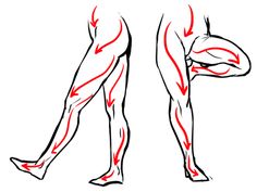 a man's back and legs are shown with red lines