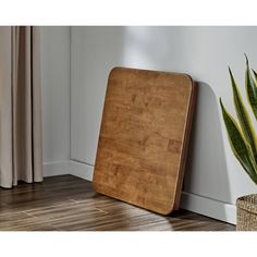 a wooden board leaning against the wall next to a potted plant