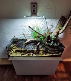 a fish tank filled with water and plants on top of a wooden floor next to a wall