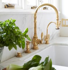 a kitchen sink with gold faucet and marble counter top next to potted plant