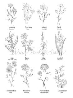 an image of different flowers in the zodiac sign style for each zodiac sign, as well as date and month