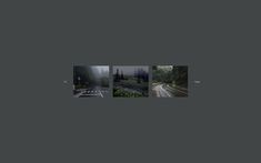 four different shots of the same road and trees, with fog in the air above them