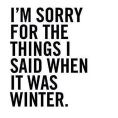 the words i'm sorry for the things i said when it was winter