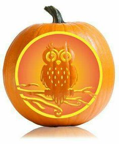 an orange pumpkin with an owl carved on the front and side, sitting next to a white background