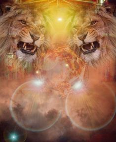 two lions facing each other in front of a colorful background with circles and lights around them