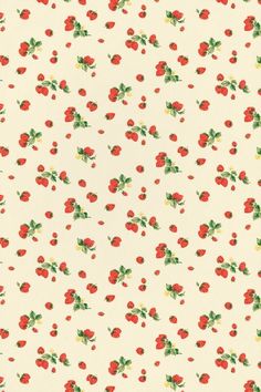 a white background with red flowers and green leaves on the bottom right corner is an off - white wallpaper