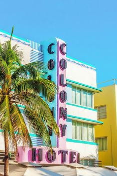 the hollywood hotel sign in front of a palm tree