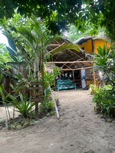 a small hut in the middle of some tropical trees and plants with a sign that says no swimming here