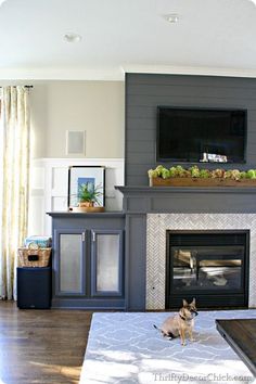 a dog is sitting on the floor in front of a fireplace with a flat screen tv above it