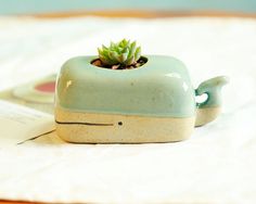 a small ceramic planter with a succulent in it