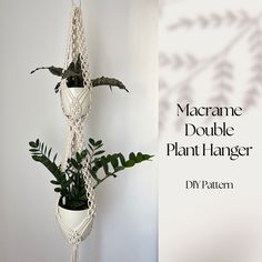 a macrame double plant hanger with plants in it and the words macrame double plant hanger diy pattern