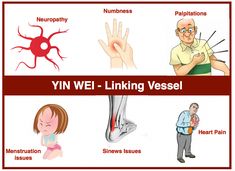 The 8 extraordinary vessels, the Yin Wei and the Yang Wei pathway, and how to use them in acupuncture practice. Acupuncture Meridians, Yin Deficiency, Acupressure Chart, Traditional Chinese Medicine Acupuncture, Tcm Traditional Chinese Medicine, Feeling Stuck In Life, Heart Pain, Acupuncture Points