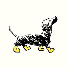 a black and white drawing of a dachshund with yellow boots on it's feet