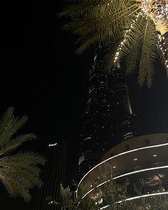 palm trees in front of a tall building at night with lights on it's sides