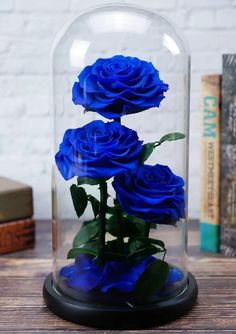 three blue roses under a glass dome on a table next to books and a book