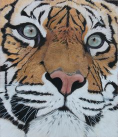 a close up of a tiger's face with blue eyes and brown fur on it