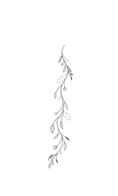 a black and white drawing of a branch with leaves on it's end is shown