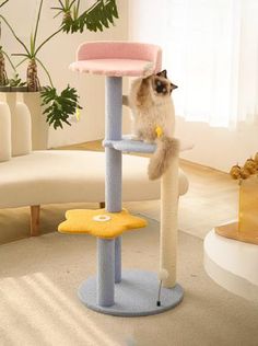 a cat sitting on top of a scratching post