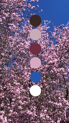 a tree with lots of different colored circles hanging from it's branches in front of a blue sky