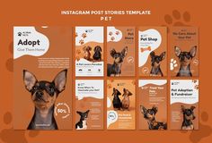 the instagram posts are designed to look like dogs