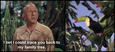 two different pictures of a man with a bird on his shoulder and an image of a toucan in the background