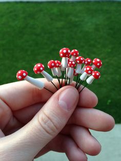 small red and white mushrooms in the palm of someone's hand with green grass behind them