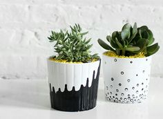 two white and black pots with plants in them