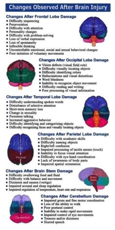 the brain is shown with different types of areas that are involved in this study and how to use it