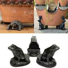 three different pictures with plants in pots and two figurines sitting on the ground