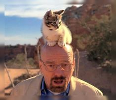 a cat sitting on top of a man's head in the middle of desert