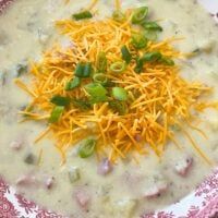 a bowl of soup with cheese and green onions