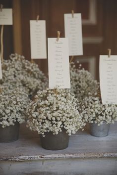 small potted flowers with seating cards attached to them