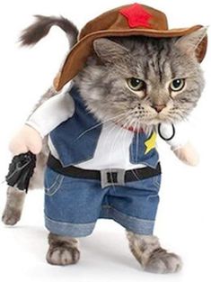 a cat dressed up as a sheriff