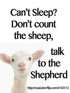 a sheep with the words can't sleep? don't count the sheep, talk to the shepherd