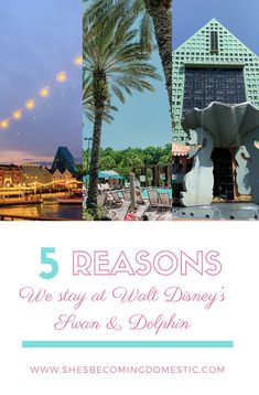 the top five things to see at walt world