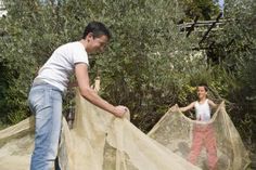 two men are unloading nets from the ground