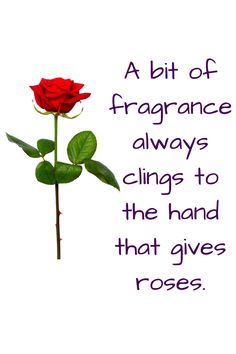 a red rose sitting on top of a white background with the words, a bit offragance always clings to the hand that gives roses