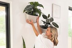 a woman holding a potted plant up to the wall