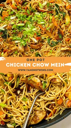 one pot chicken chow mein with noodles and vegetables