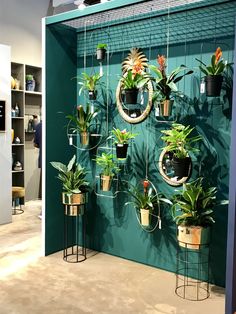 a green wall with potted plants hanging from it's sides and on display