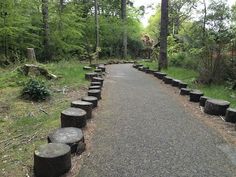 a paved road surrounded by trees with logs on the sides and benches along the side