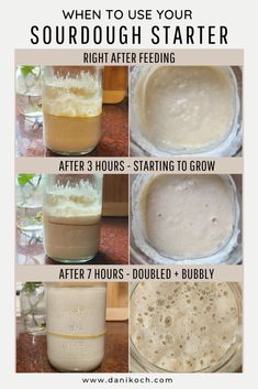 the steps to make sourdough starter